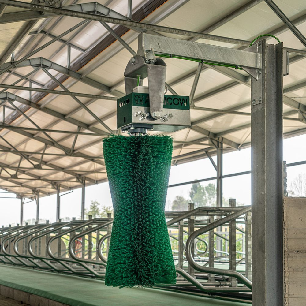 Komforta birste Pendulum